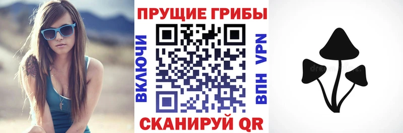 Купить закладки  Горно-Алтайск  Псилоцибиновые грибы прущие грибы 